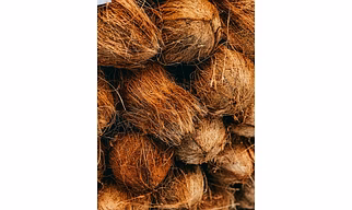 Coconuts