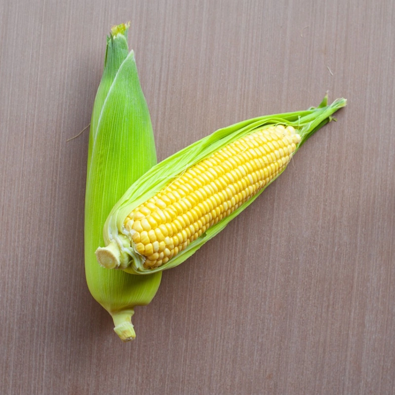 Yellow Maize-2