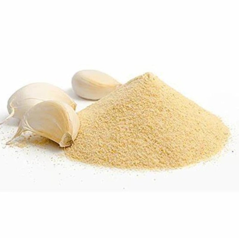 Garlic Powder (organic)-2