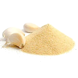 Trapurantak Garlic Powder (organic)