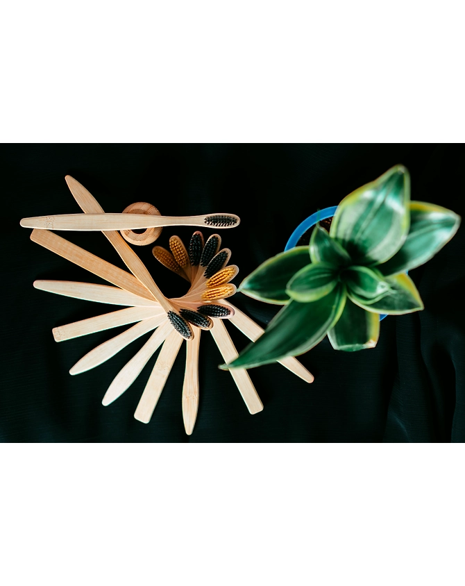 Natural bamboo toothbrush-12337316