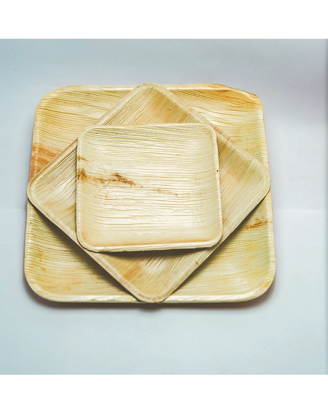 Areca leaf disposable tableware-2