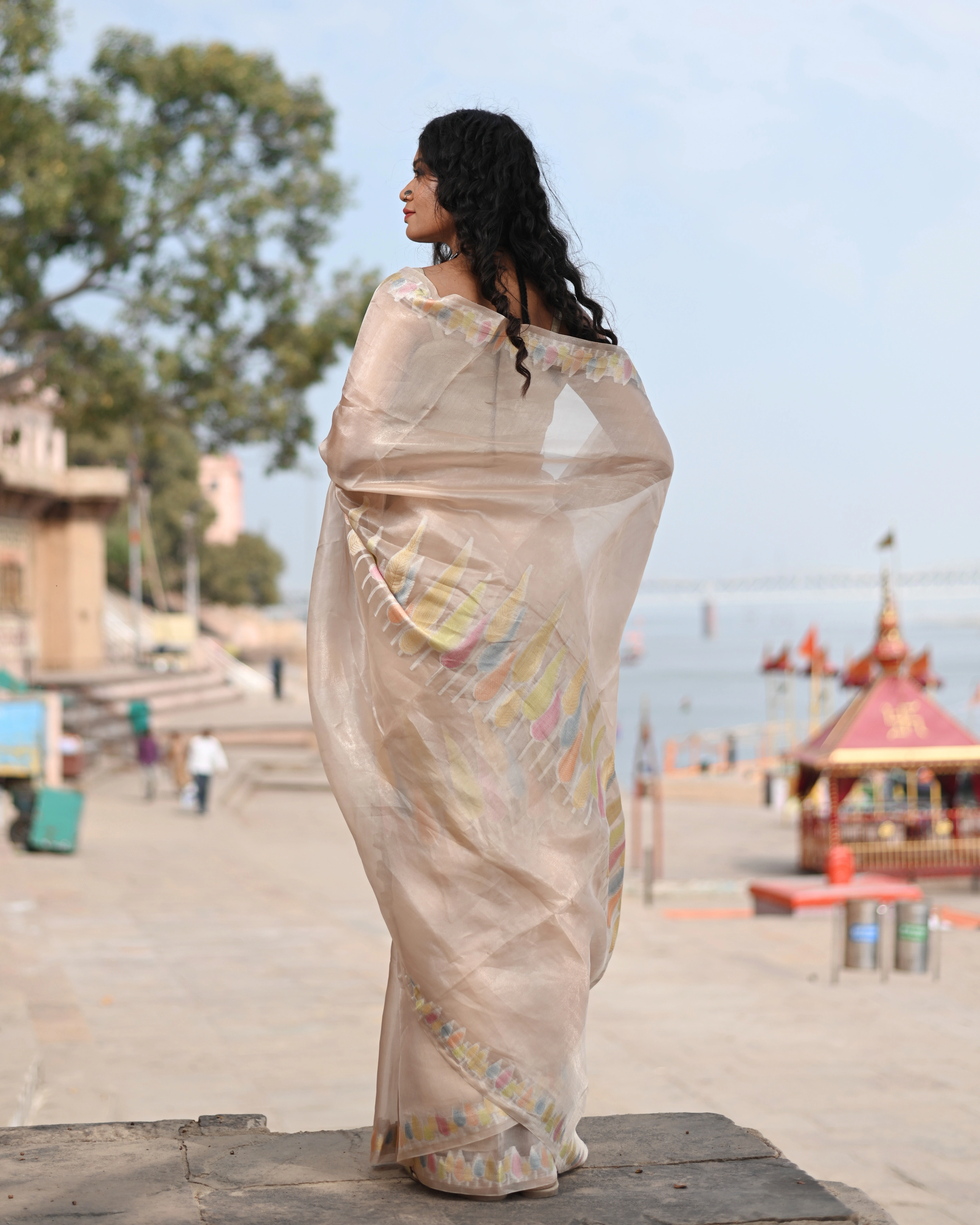 Beige Pure Kora Tissue Banaras Handloom Saree-Beige-2