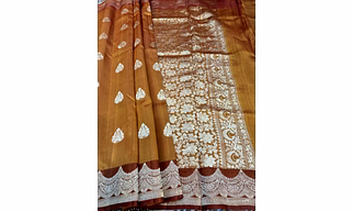 Pestel Orange Raw Mango Banarasi Handloom Saree