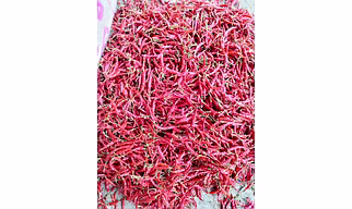 Dry Red Chilli