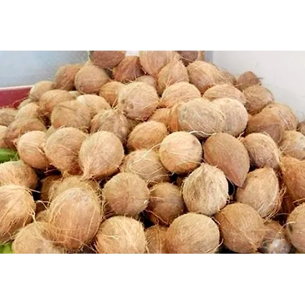 Coconut-2