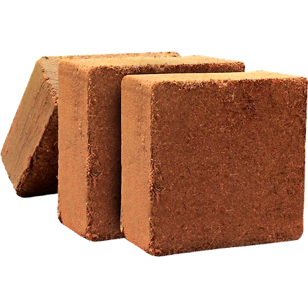 Cocopeat-1