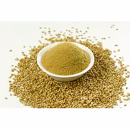 oem coriander powder