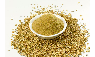 CORIANDER POWDER