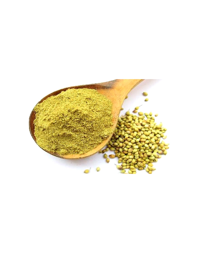 CORIANDER POWDER-2
