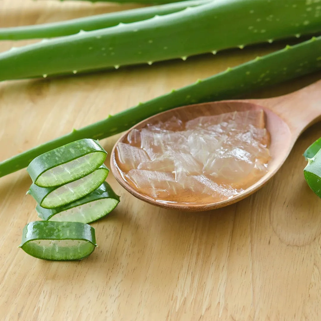 Aloevera gel (Aloe barbadensi )-3