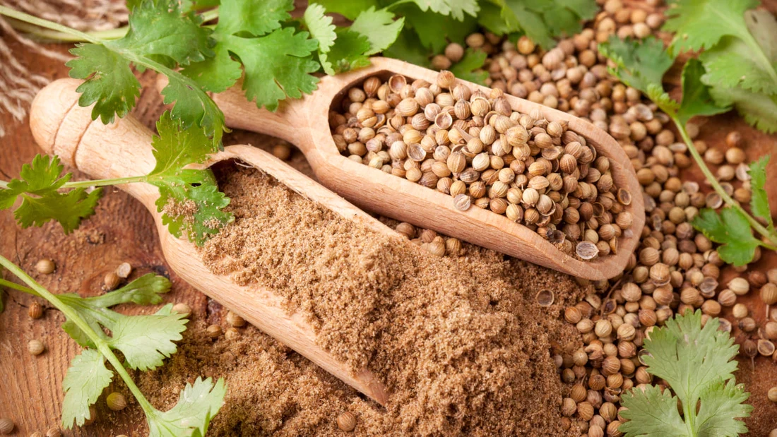 fine ground coriander seed-12368808