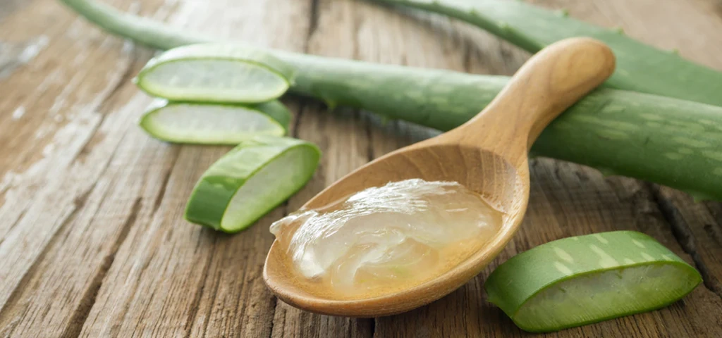 Aloevera gel (Aloe barbadensi )-12355380