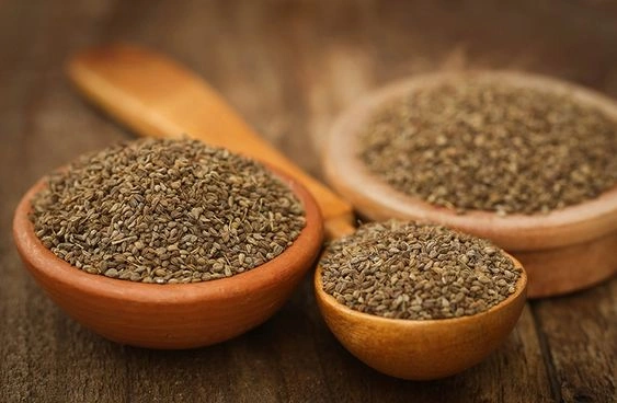 ajwain (trachyspermum ammi)-2