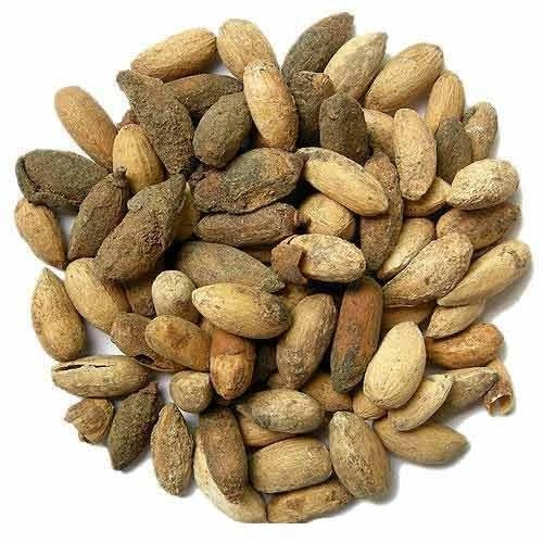 neem seed(azadirachta indica)-12353984