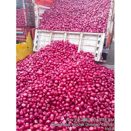 Red onion-12330468