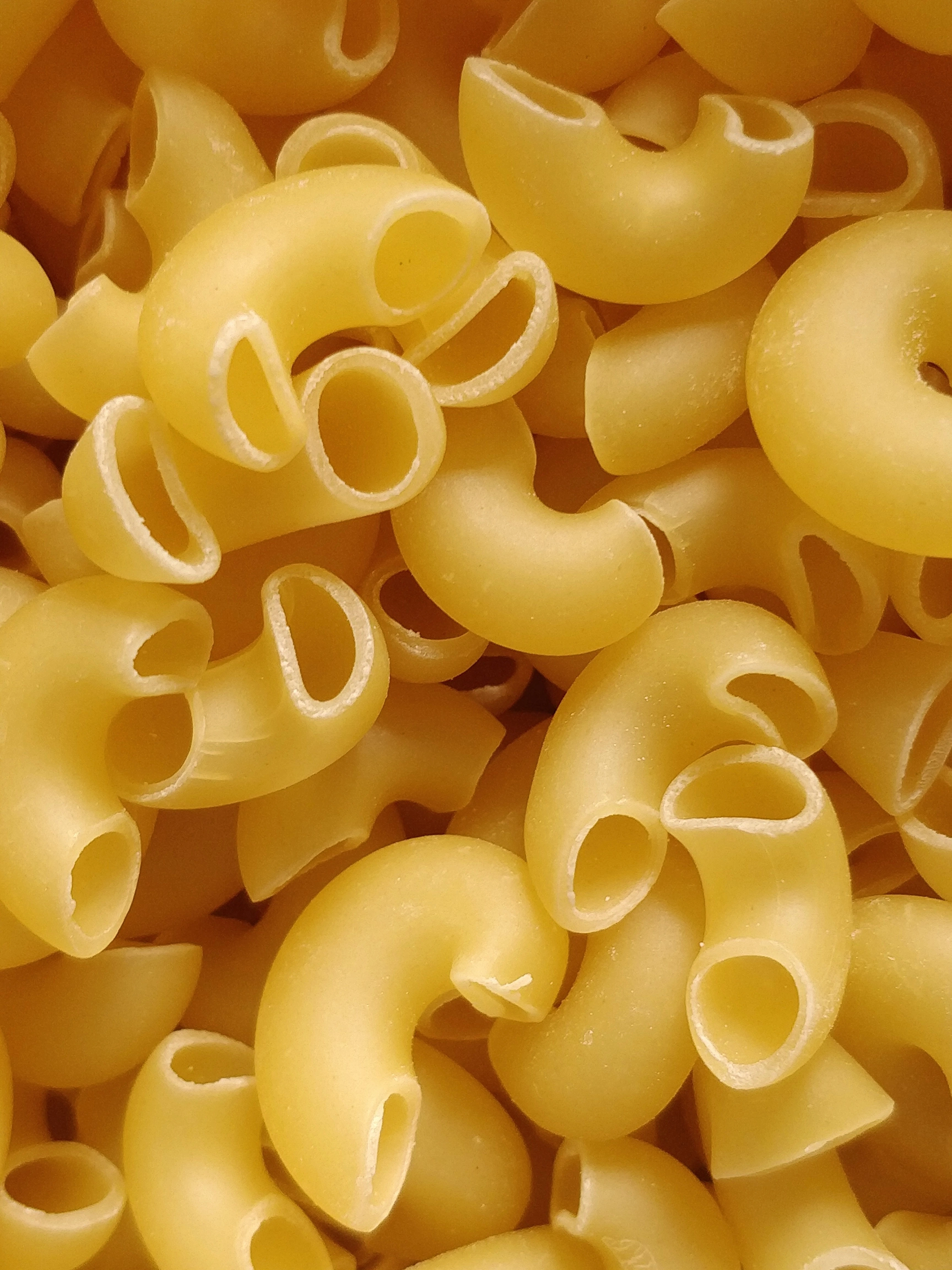 Italian Pasta-1