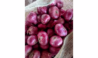 Red Onion