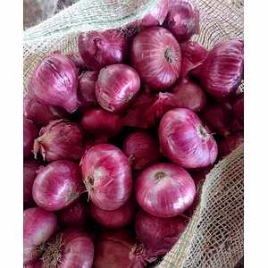 Red Onion