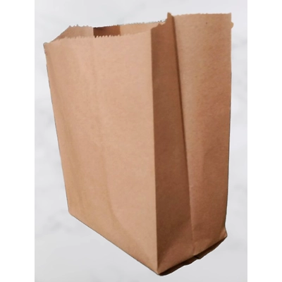 Paper Bag-4