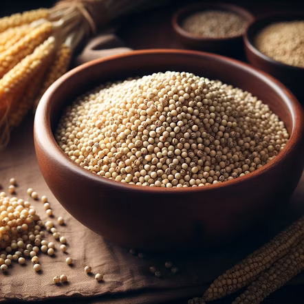 Bajara  (Pearl Millet)