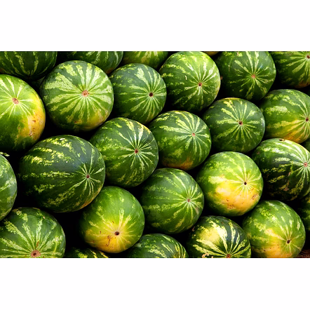 Water Melon