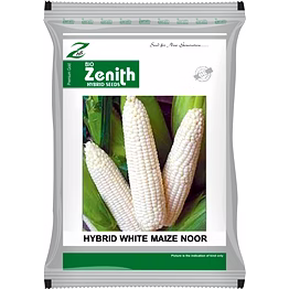 zenith hybrid seeds hybrid white maize seeds noor