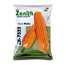 zenith hybrid seeds hybrid yellow maize seeds single cross 7522