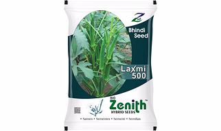 Okra Seeds Research/improved Laxmi 500
