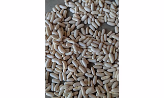 FRENCH BEANS, SONALI