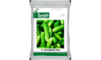 CUCUMBER VEER, HYBRID