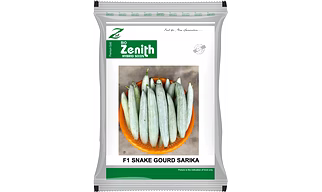 SNAKE GOURD SARIKA, HYBRID