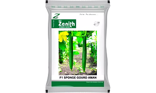 SPONGE GOURD AMAN, HYBRID