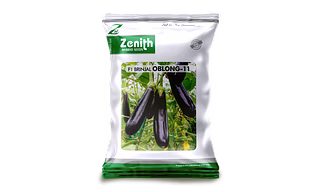 BRINJAL OBLONG 11
