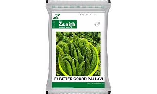 Bitter Gourd Seeds Hybrid Pallavi