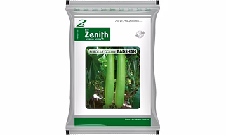 BOTTLE GOURD SAMRAT, HYBRID