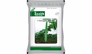 RIDGE GOURD ZEN 200, HYBRID