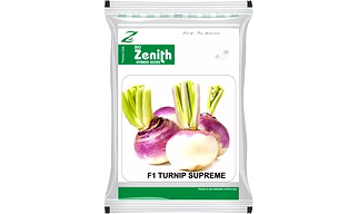 Turnip Seeds Hybrid (supreme) & OP (Jack)