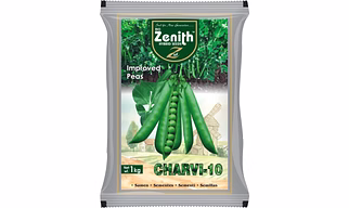 Green Pea Seeds Research Charvi 10