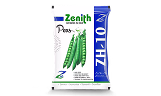 Green Pea Seeds ZH10