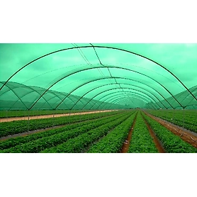 Agriculture shade net