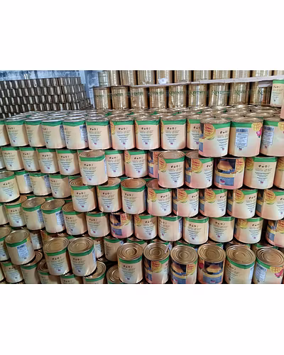 Garlic Paste-1