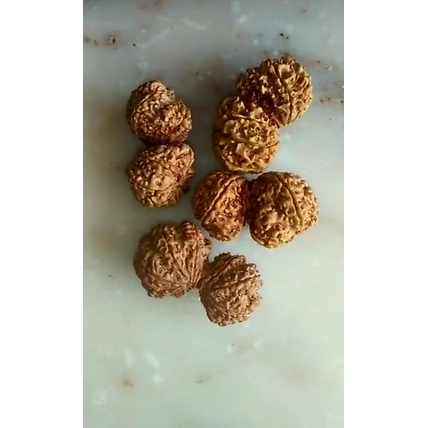 Rudraksha-1