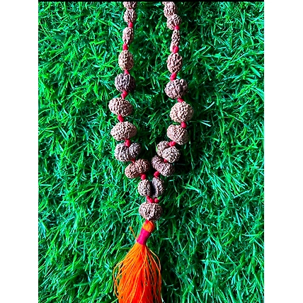 Rudraksha mala Rudraksha beads-12336347