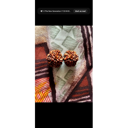 Rudraksha mala Rudraksha beads-3