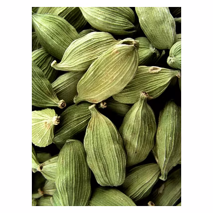 Forest Cardamom - Naturally Grown-12370972