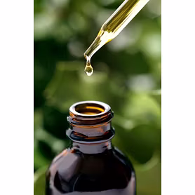 Lemongrass Essential Oil (Fresh / Dried / Oil)