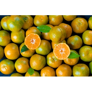 Nagpur Orange (Mandarin)