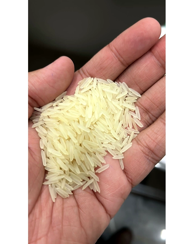 1121-Basmati rice-3