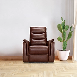 Recliners India Single Seater Recliner Sofa for Living Room- Crown (Color: Dark Brown Two Tone)
